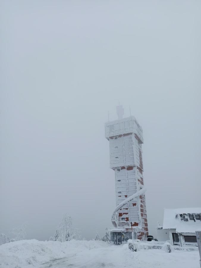 Apartamento Walpurgis Hexe Braunlage Exterior foto