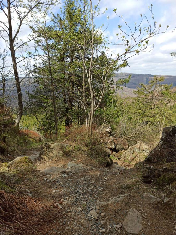 Apartamento Walpurgis Hexe Braunlage Exterior foto